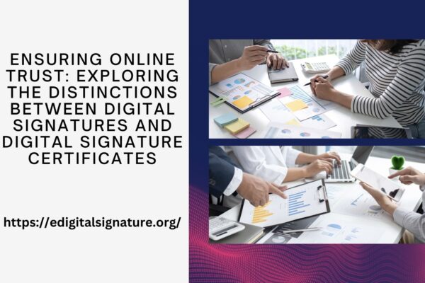 Ensuring Online Trust: Exploring the Distinctions between Digital Signatures and Digital Signature Certificates